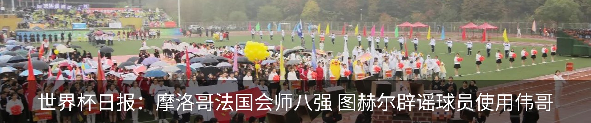 资讯动态