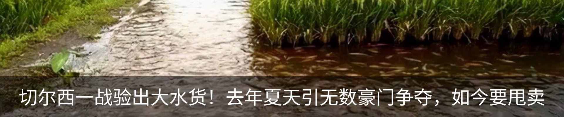 资讯动态