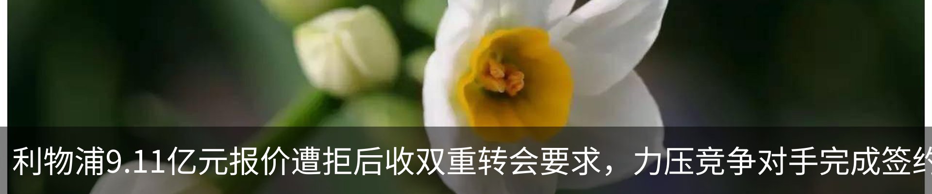 资讯动态