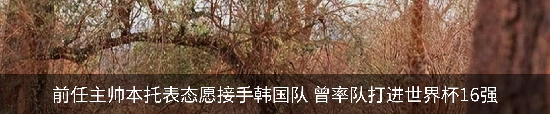 资讯动态