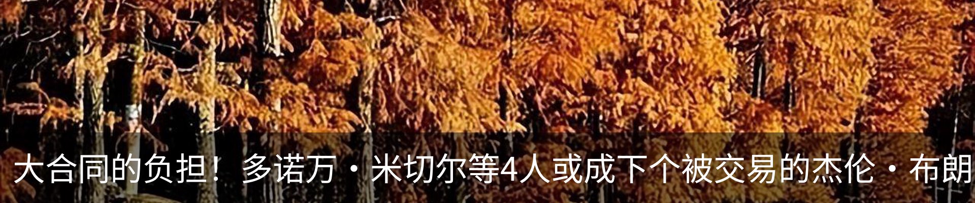 资讯动态